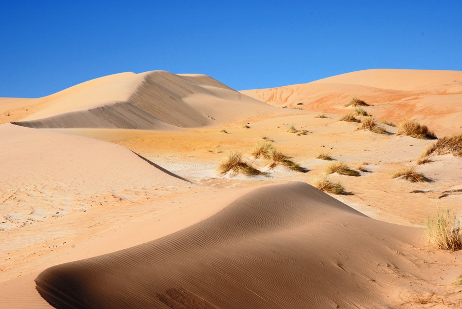 detours-mauritanie-dunes-de-warane